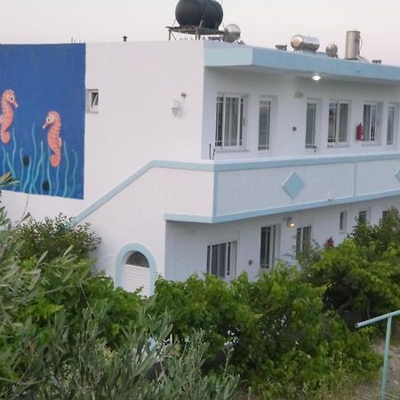 Ipokampos Apartment Кефалос Екстериор снимка